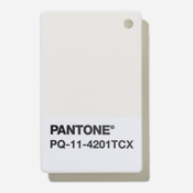 パントン・プラスチック・チップス